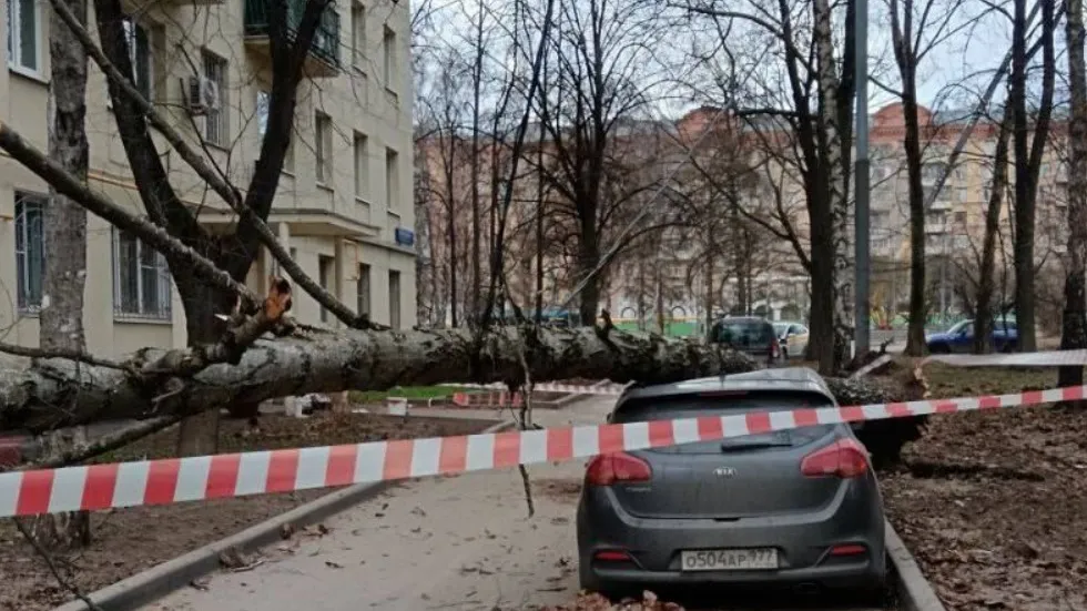 Фото: соцсети