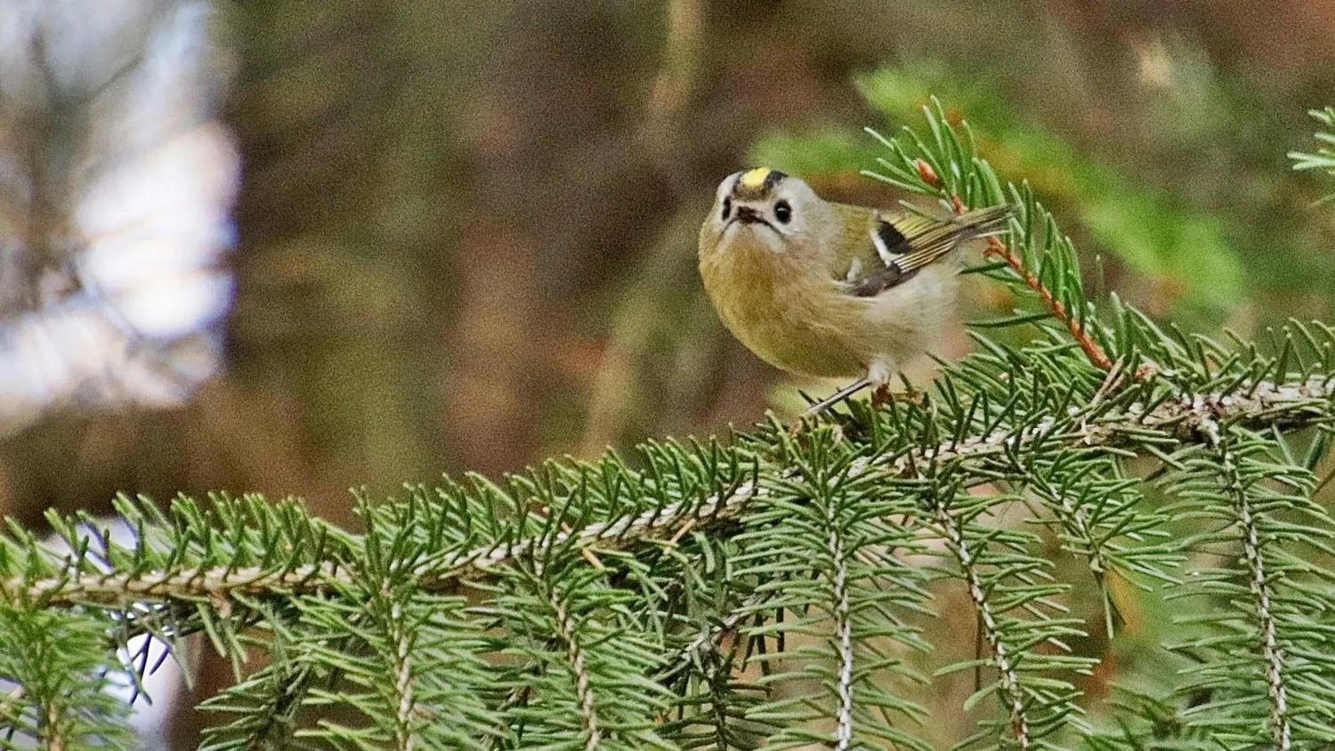 фото Ольги Калининой