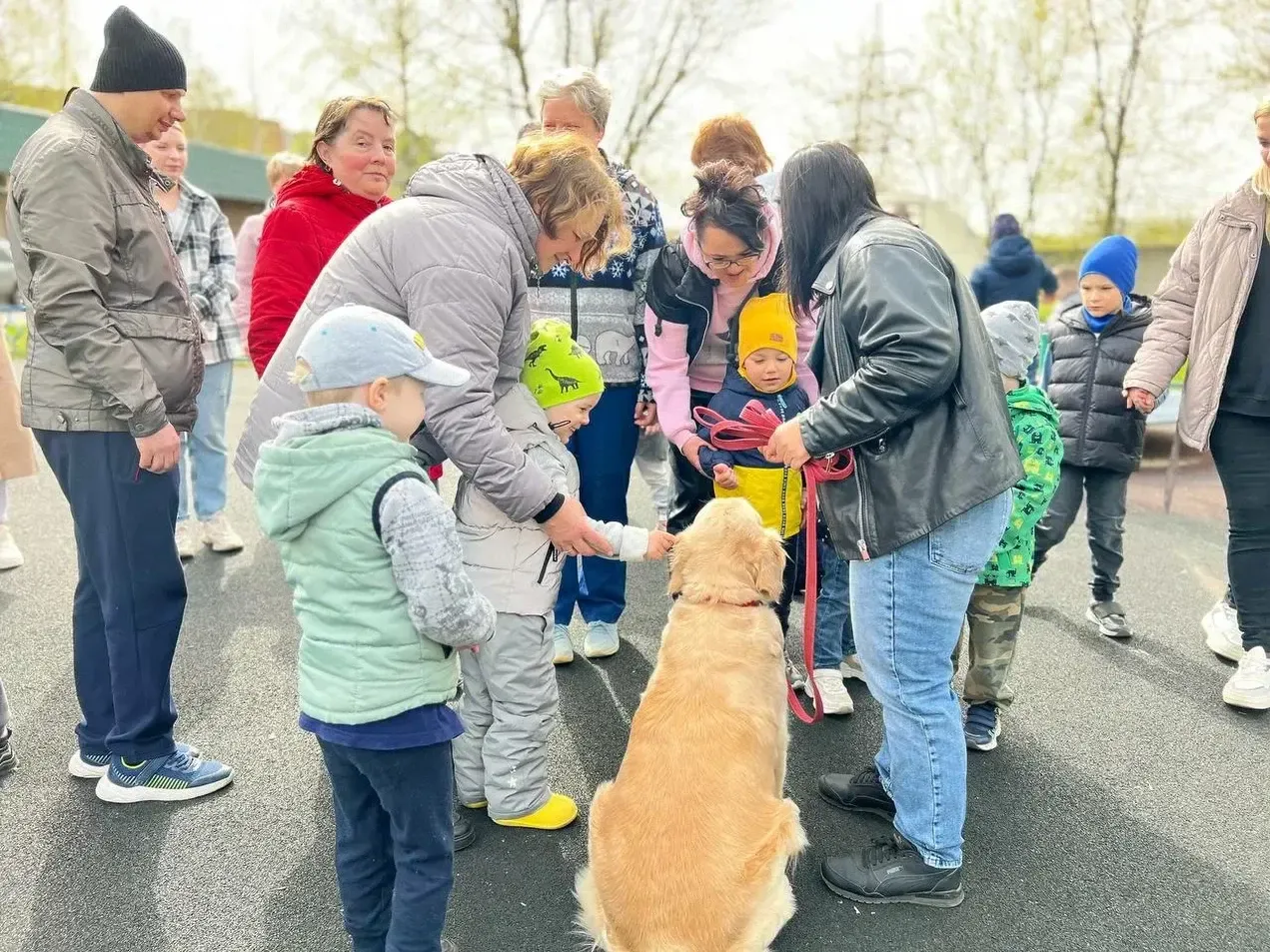 Фото: Министерство социального развития Московской области