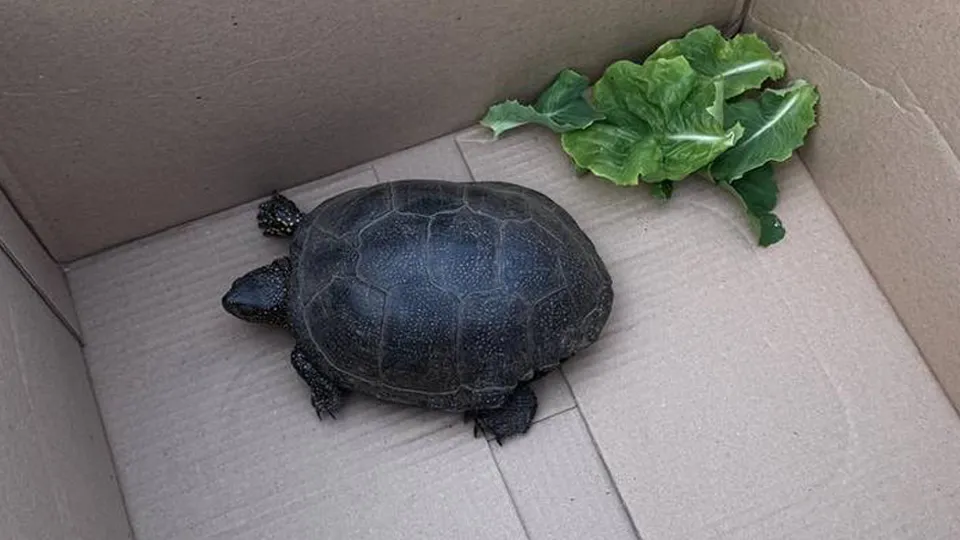 Фото: личный архив Романа Дударова