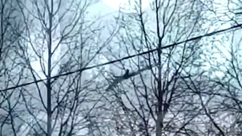 Фото/видео: @breakingmash/ТГ