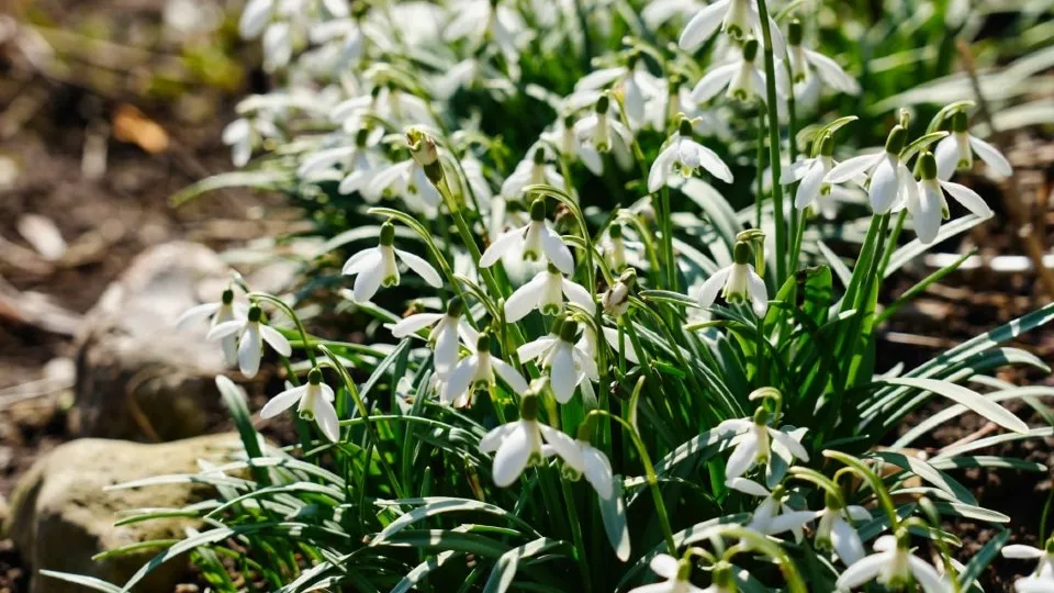 Фото: Дмитрий Зайчиков