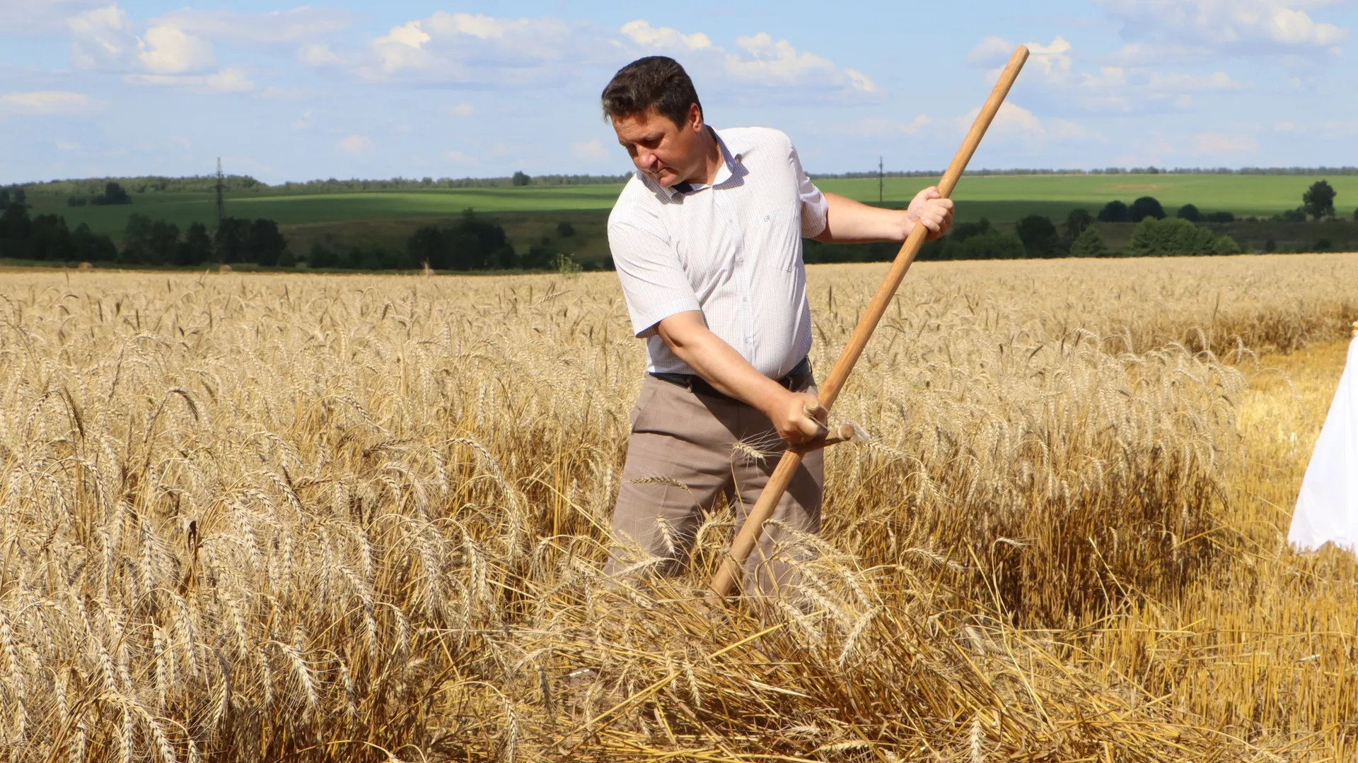 Фото: МедиаБанк Подмосковья/Ирина Матвеева