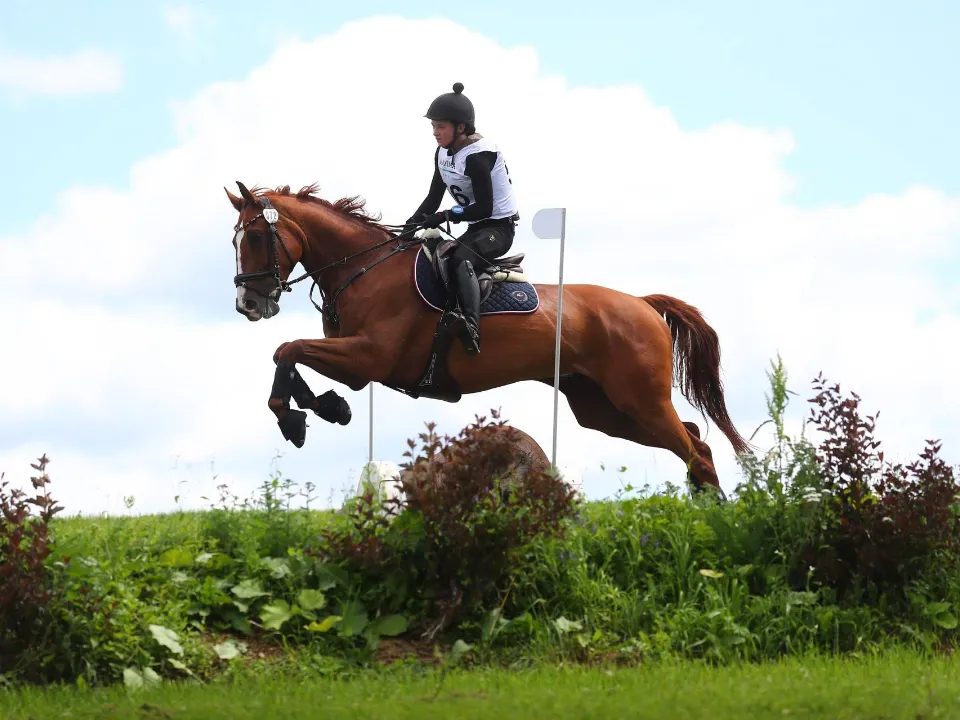 Фото: конно-спортивный комплекс «Maxima Park»