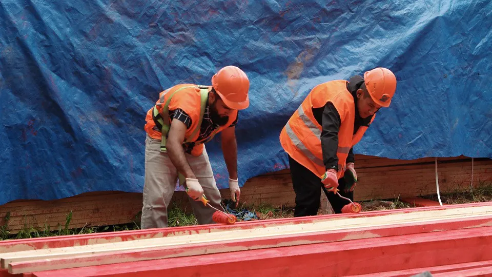 Фото: пресс-служба администрации г.о. Долгопрудный