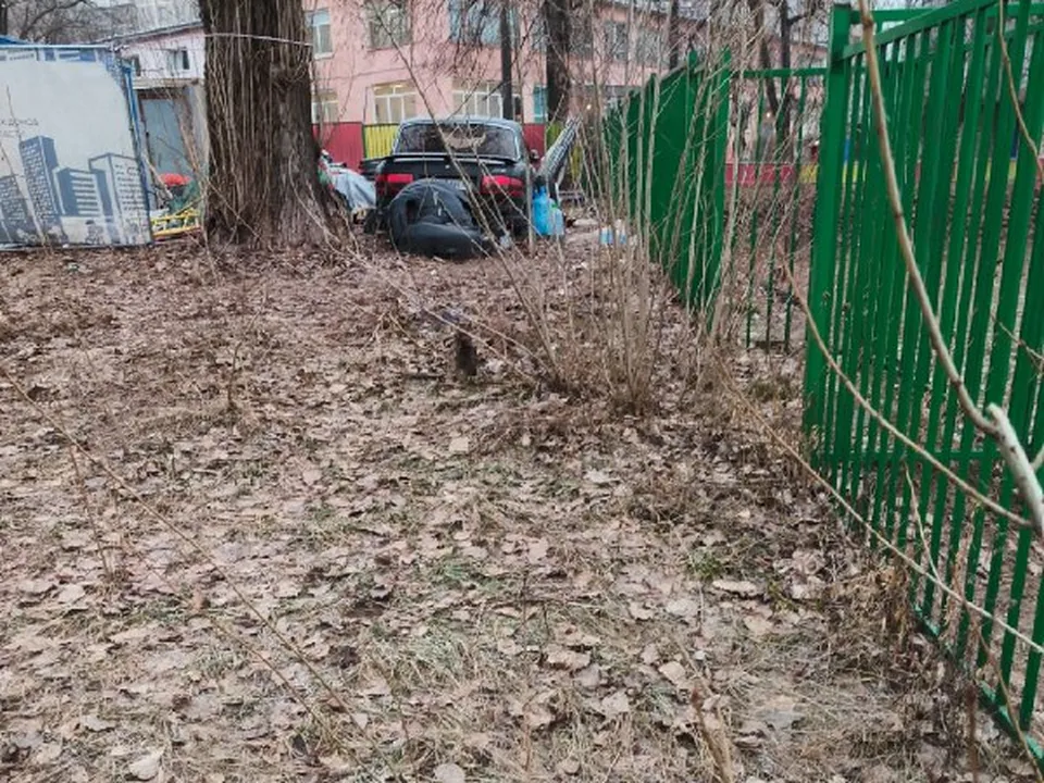 Фото: МЦУР Дзержинского