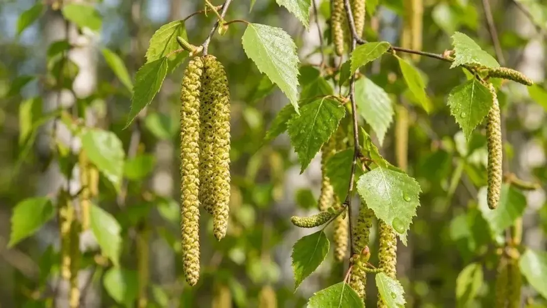 REGIONS/Сгенерировано нейросетью