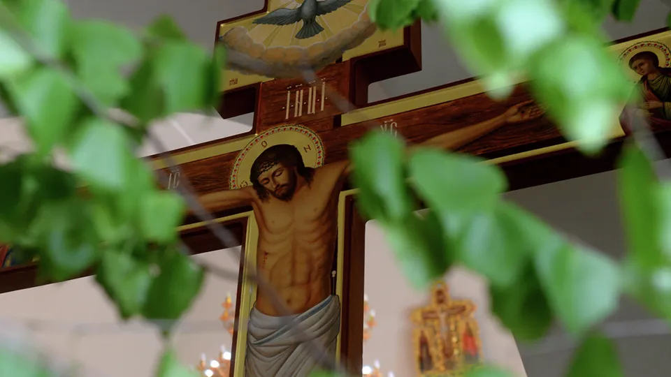 Фото: РИА Новости/Максим Богодвид