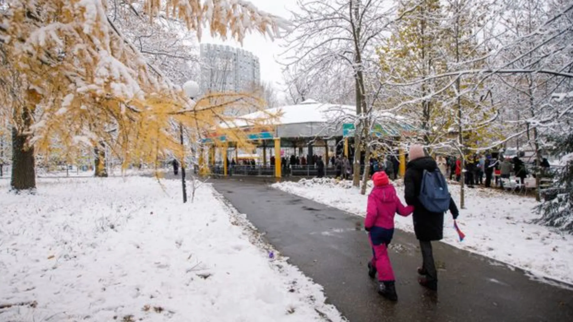 Фото: медиасток.рф