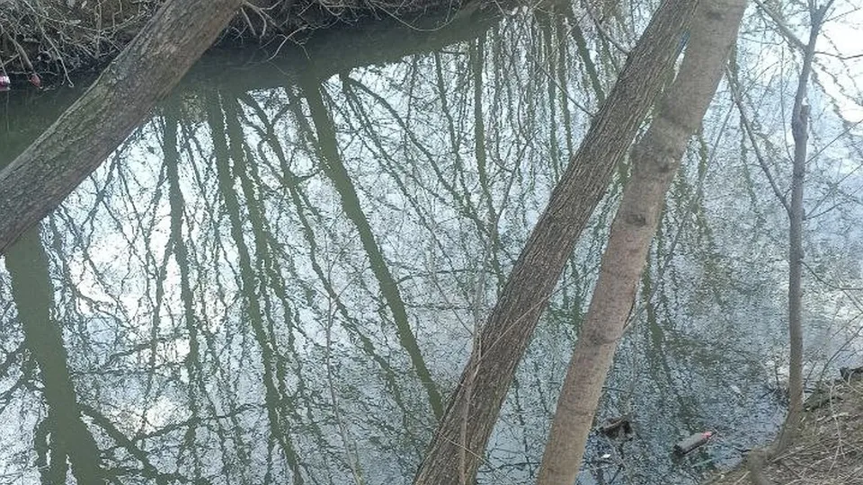 Фото: администрация г.о. Котельники