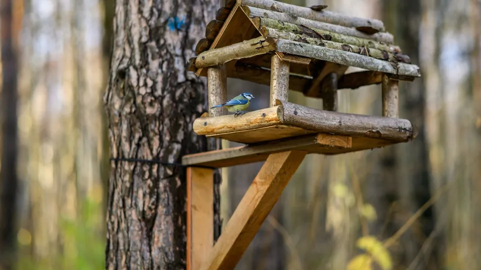 Фото: медиасток.рф