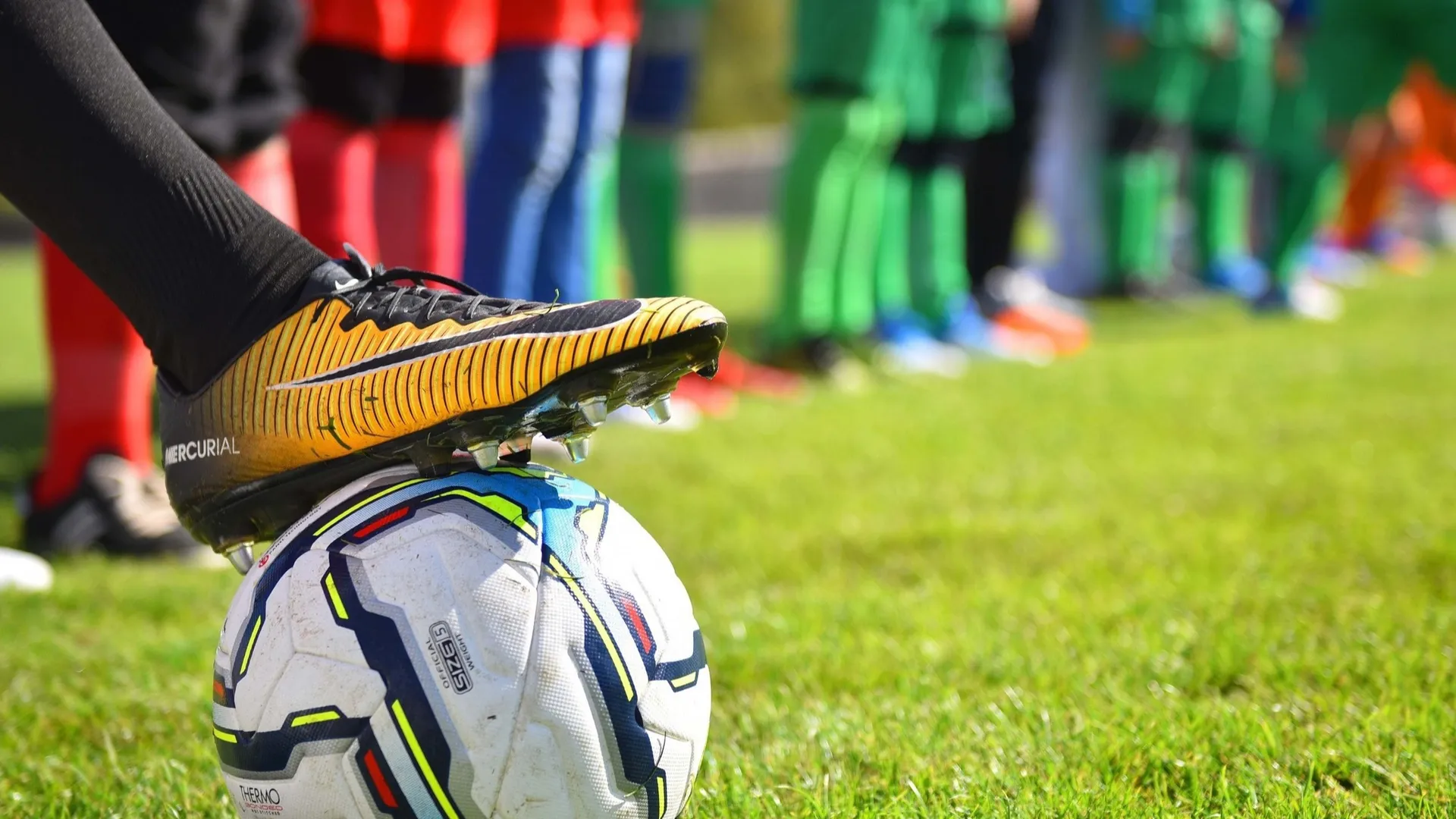 Фото: пресс-служба администрации г.о. Химки