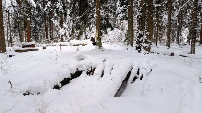Пресс-служба администрации Одинцовского г. о.