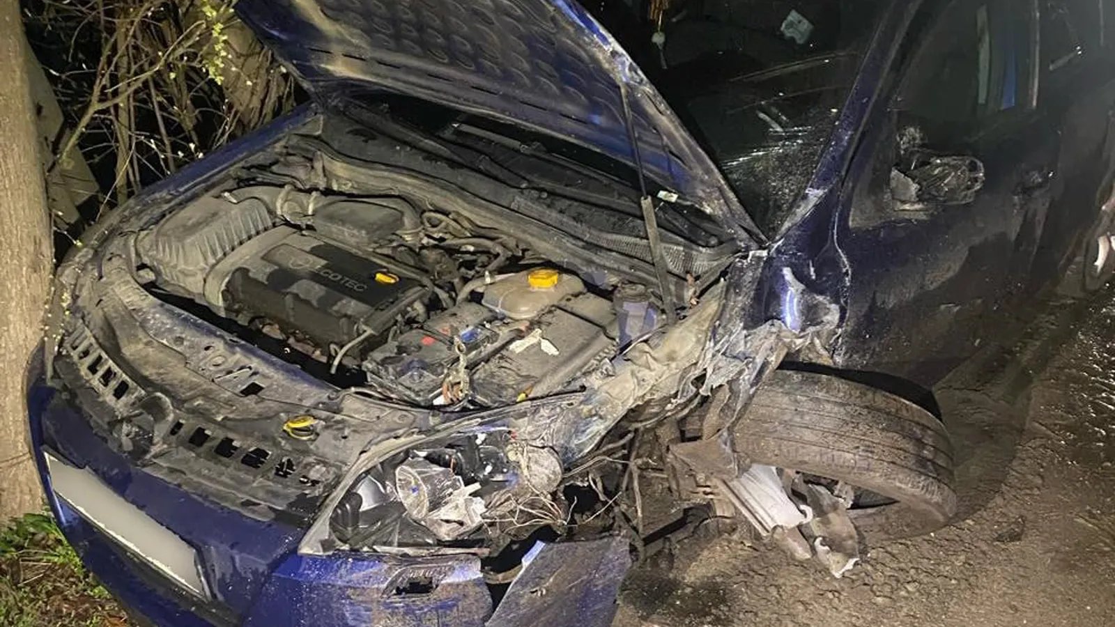 Фото: ГКУ МО «Мособлпожспас»