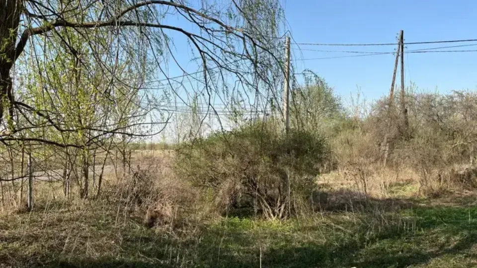 Фото: Единый портал торгов МО ЕАСУЗ