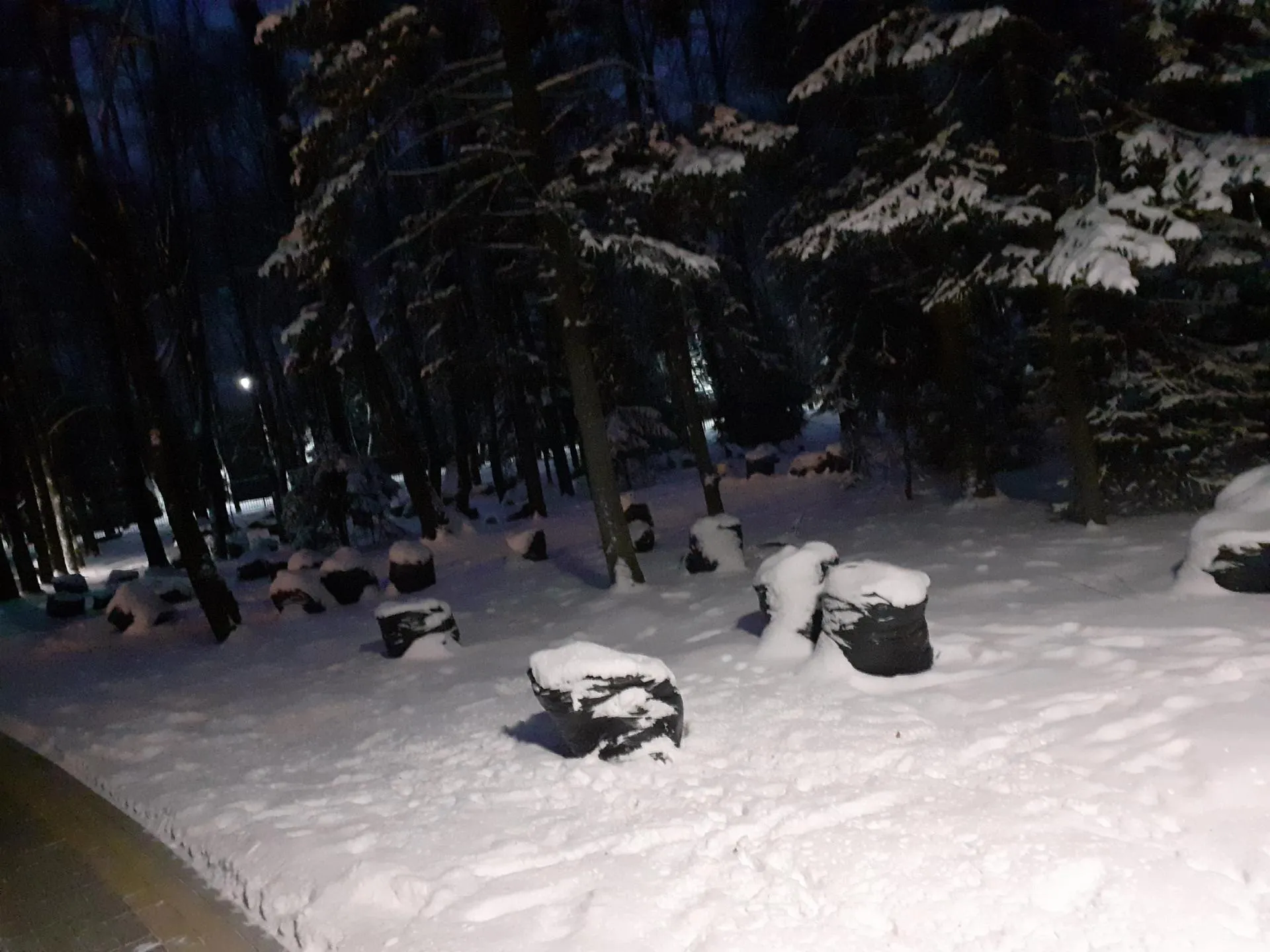 Фото: Подслушано | Дедовск / ВКонтакте