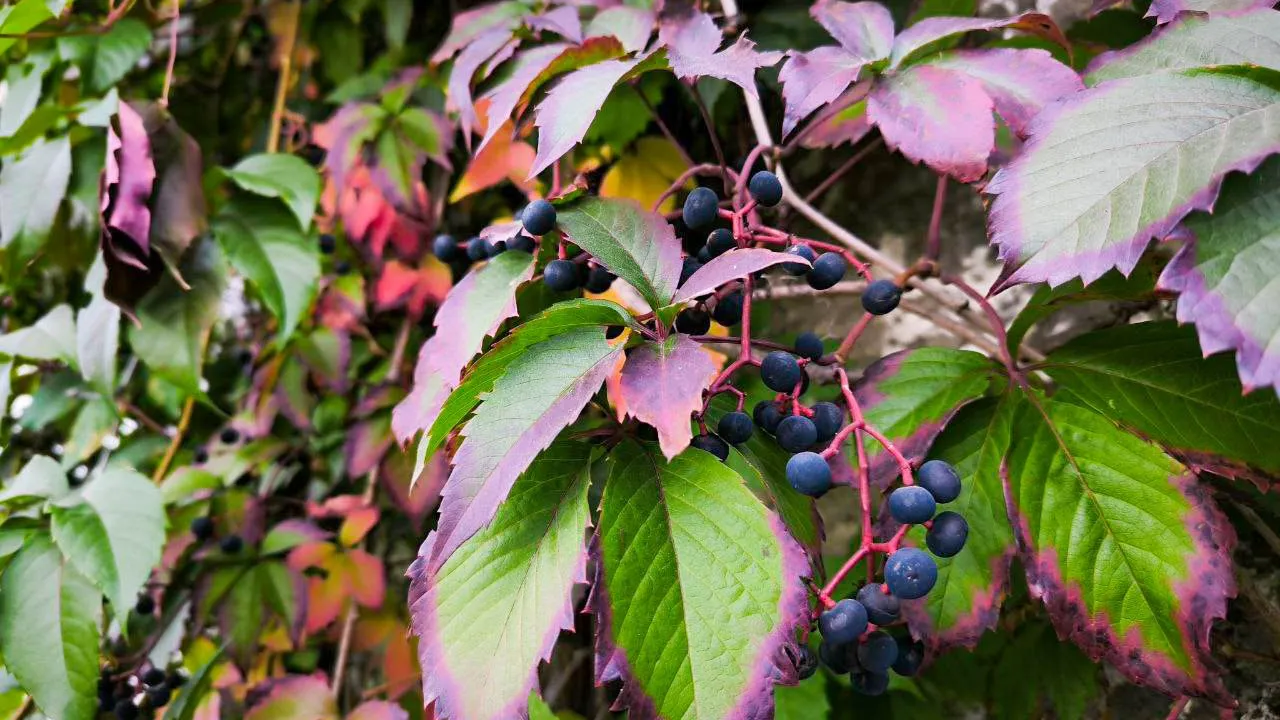 Фото: REGIONS/Роман Малышенко