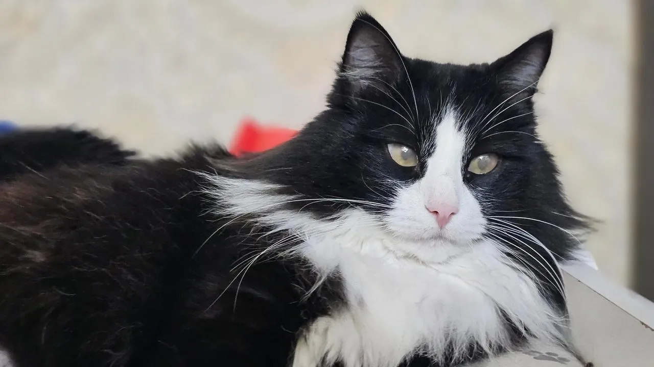 REGIONS/Александр Дрожжин