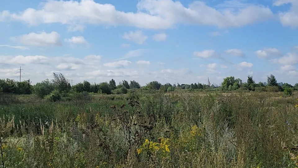 Фото: REGIONS/Ольга Аввакумова