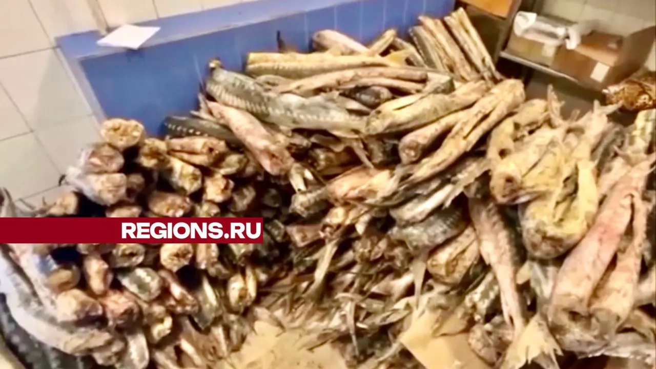 Фото: t.me/Balashiha_Podslushan