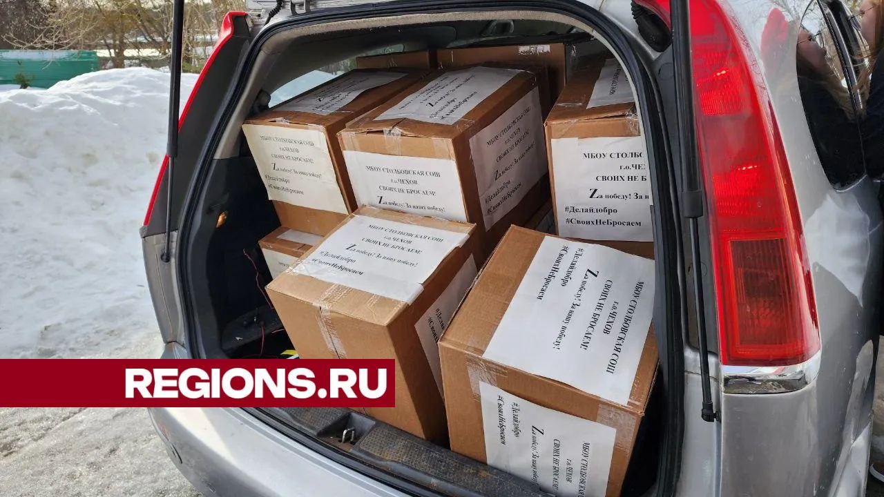 Фото: Медиабанк МО/Елена Лабзина