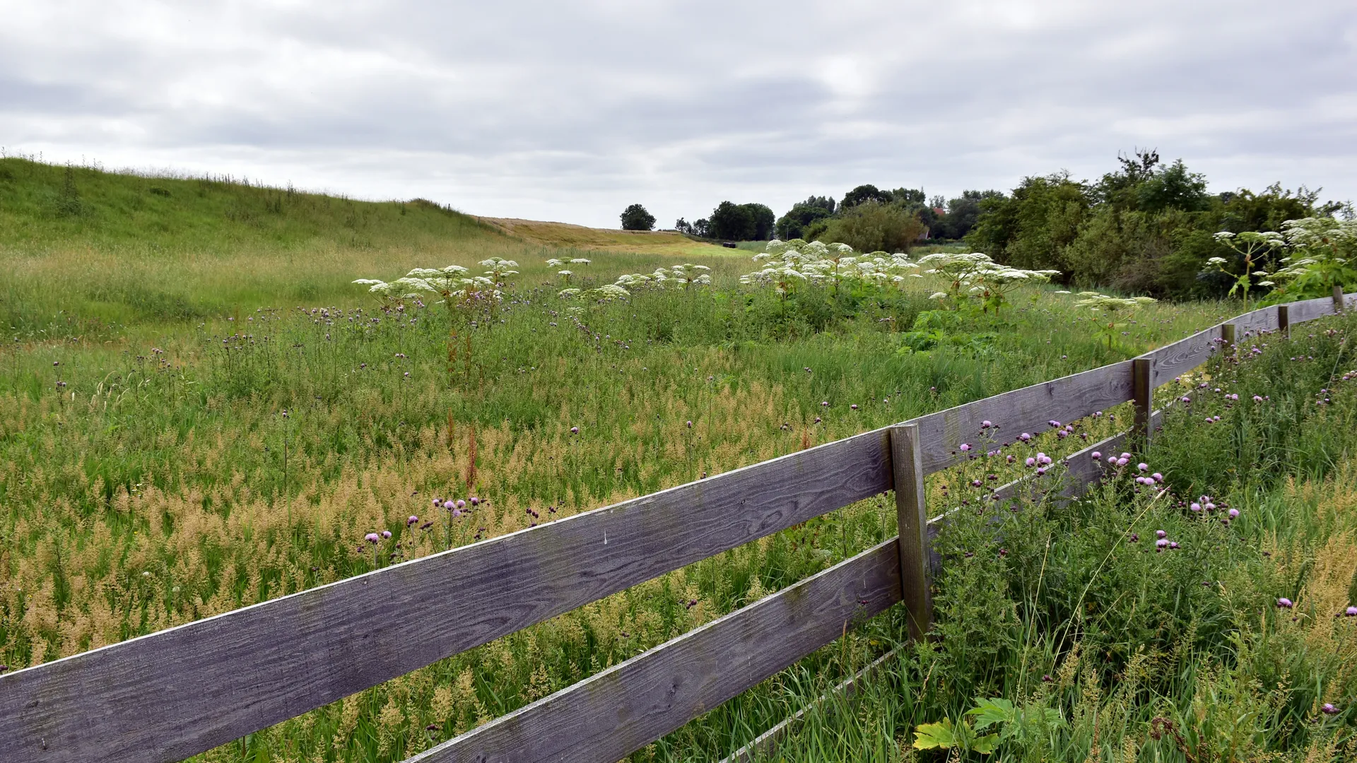 Фото: unsplash.com