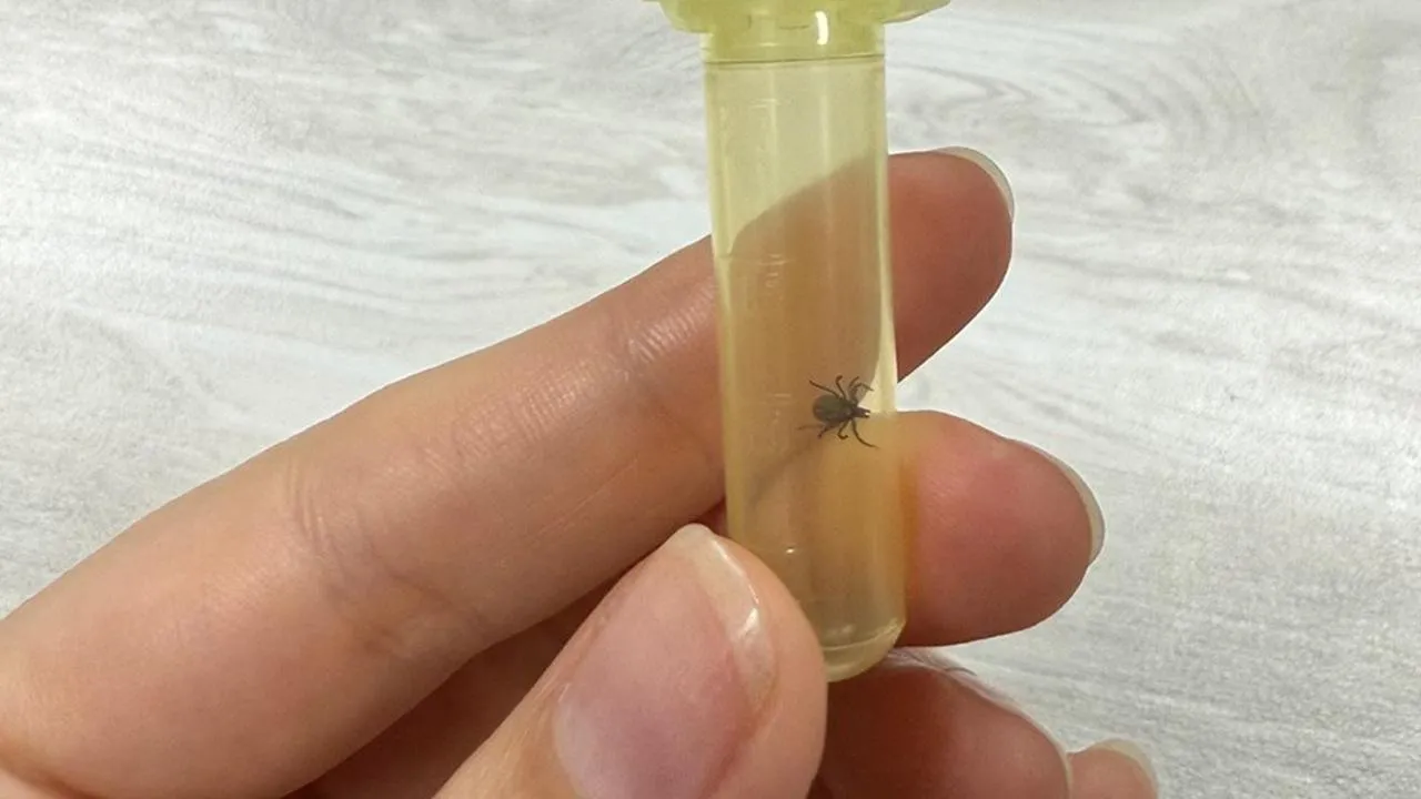 REGIONS/Александра Степанова