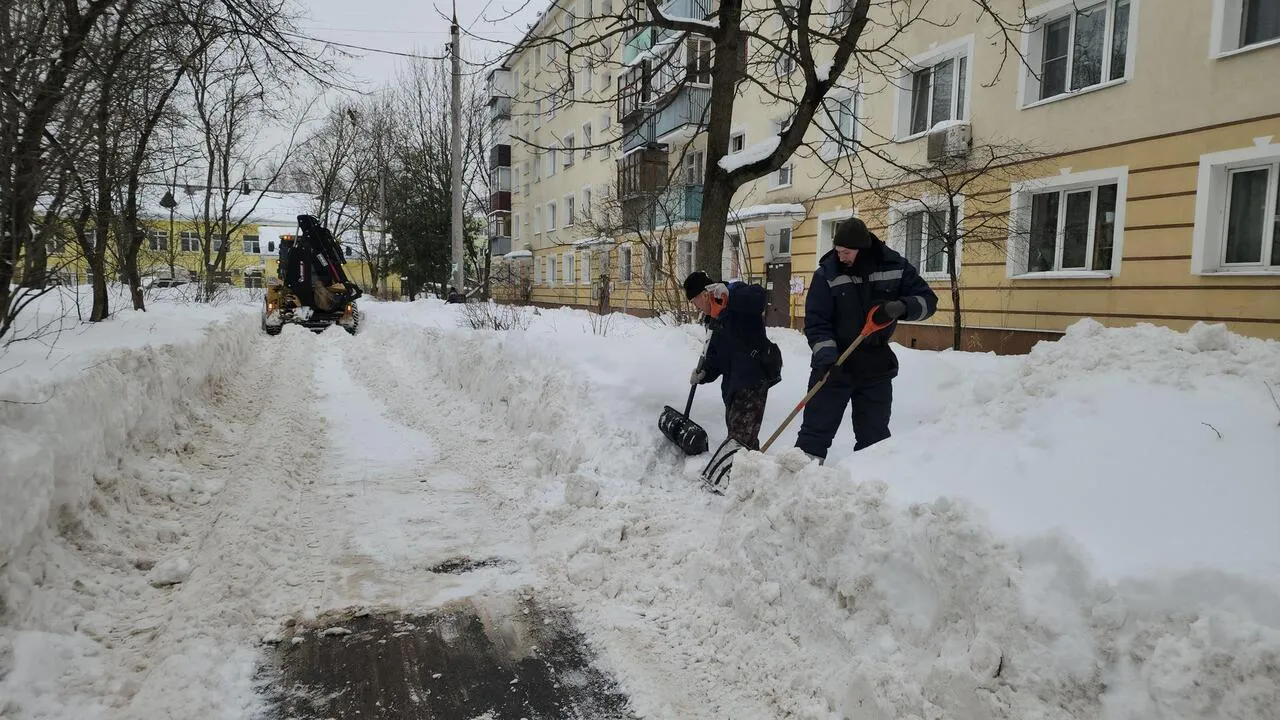 REGIONS/Валерия Тингаева