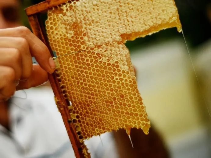 Фото: медиасток.рф