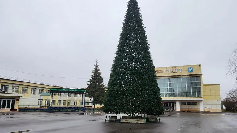 Фото: МедиаБанк Подмосковья/Анна Шолохова