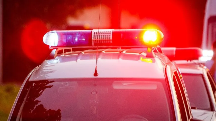 Фото: Владимир Лебедев