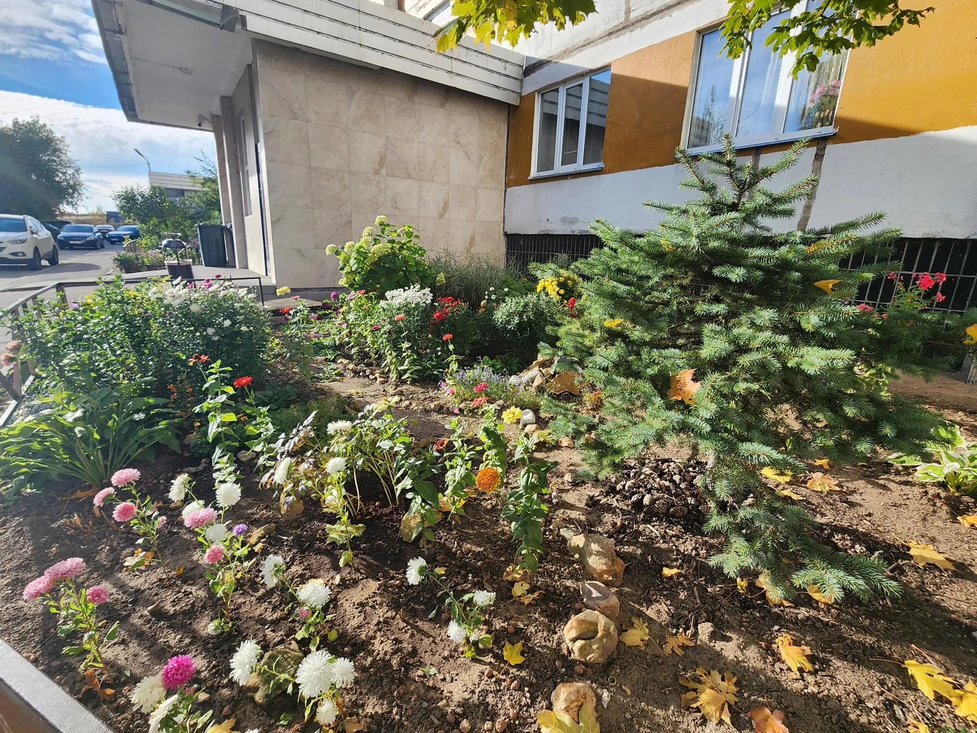 Палисадник во дворе дома № 24 по проспекту Мира. Фото: REGIONS/Наталья Дорошева