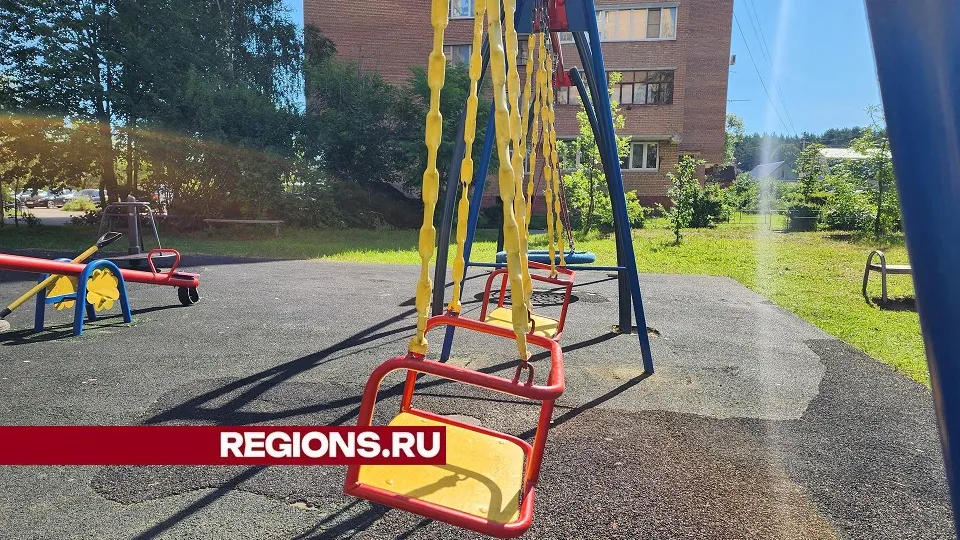 Фото: Светлана Плотникова