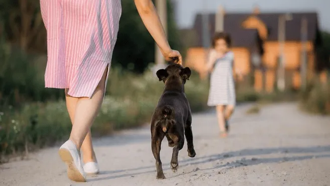 Фото: freepik.com