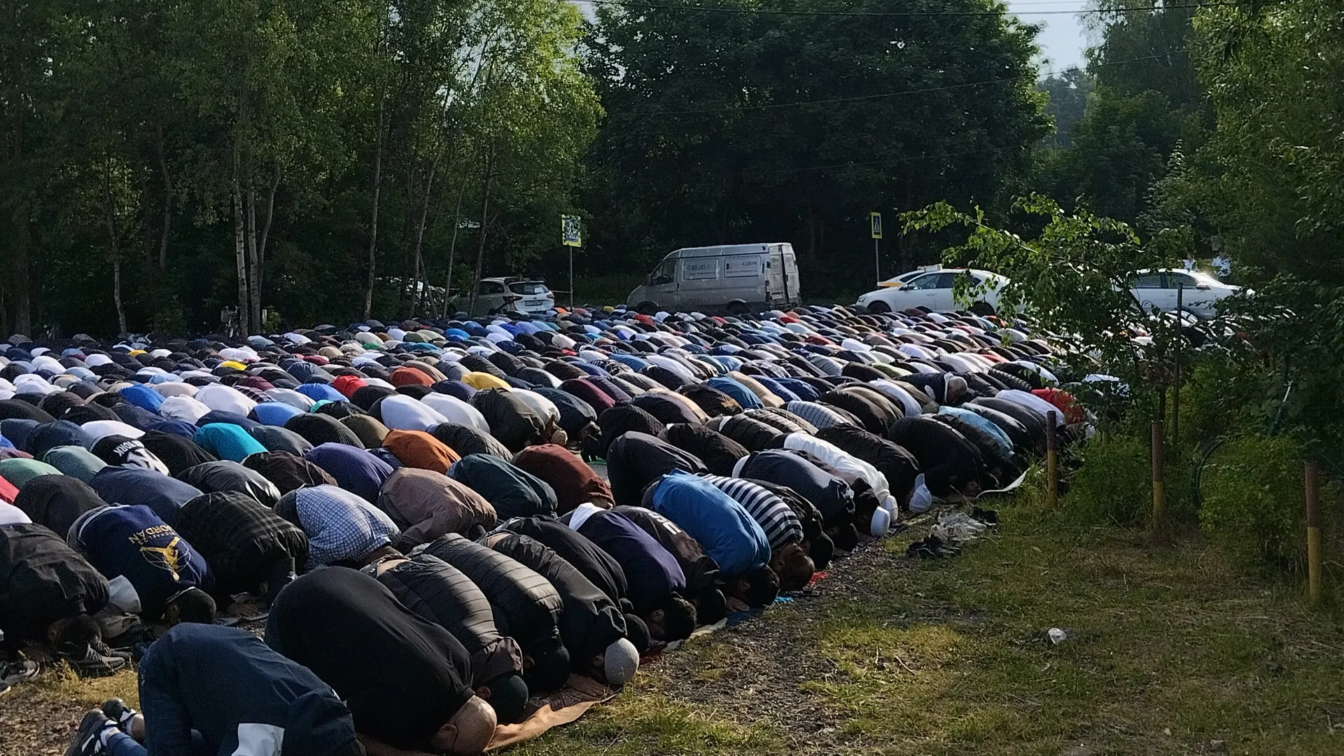 Фото: Медиаархив Подмосковья