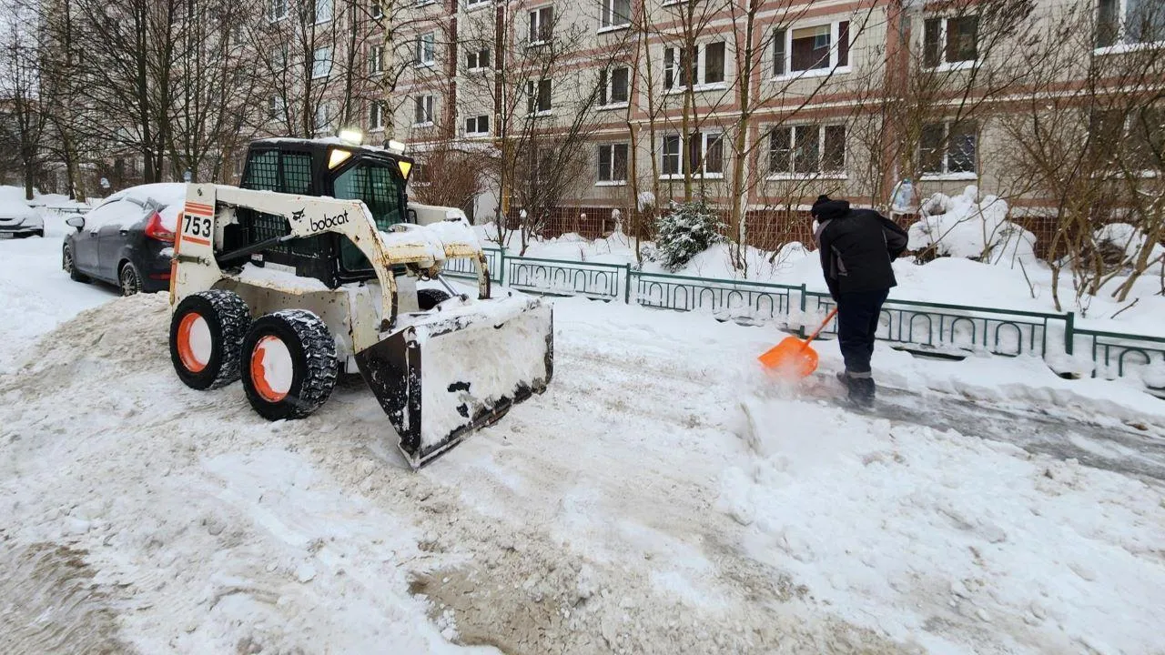 МедиаБанк Подмосковья/Дмитрий Алексеенко