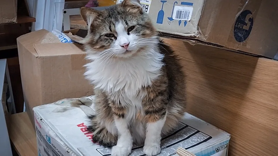 Фото: Ольга Антонова