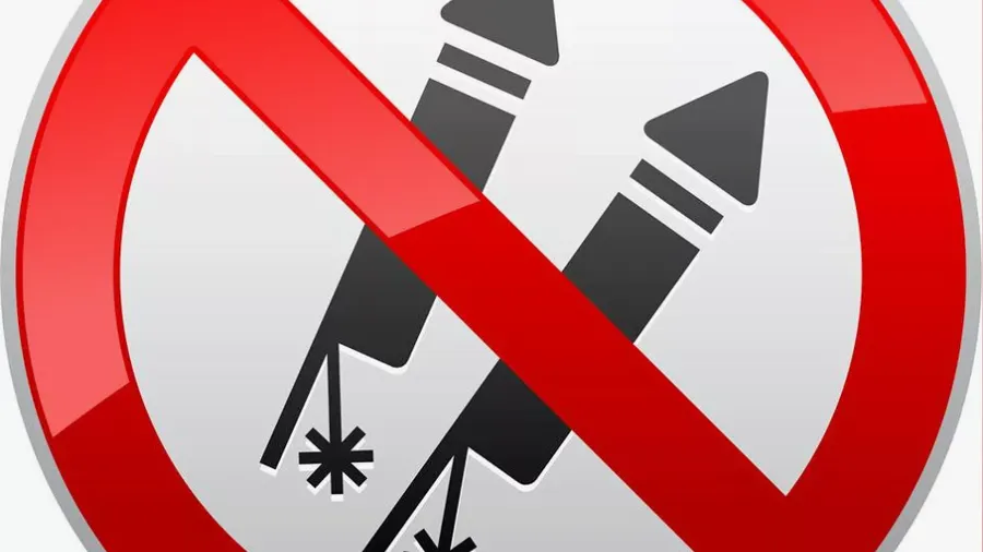 Фото: пресс-служба Администрации Одинцовского городского округа