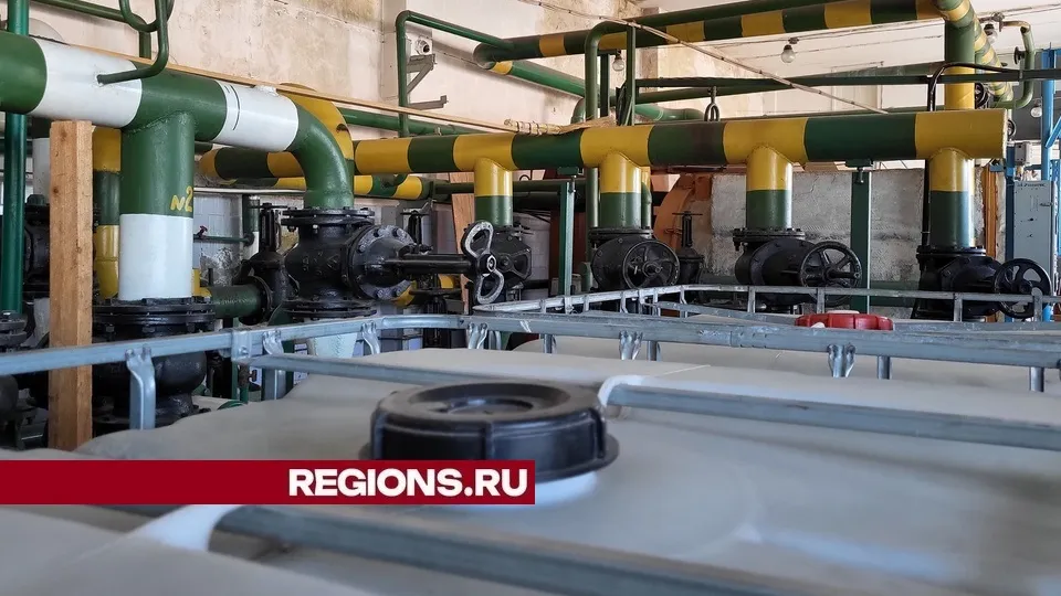 Фото: REGIONS/Александр Дрожжин