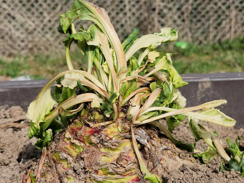 Фото: Андрей Семибратов