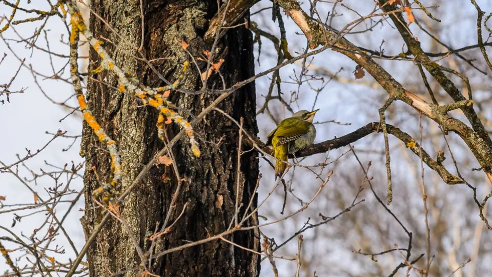 Фото: медиасток.рф
