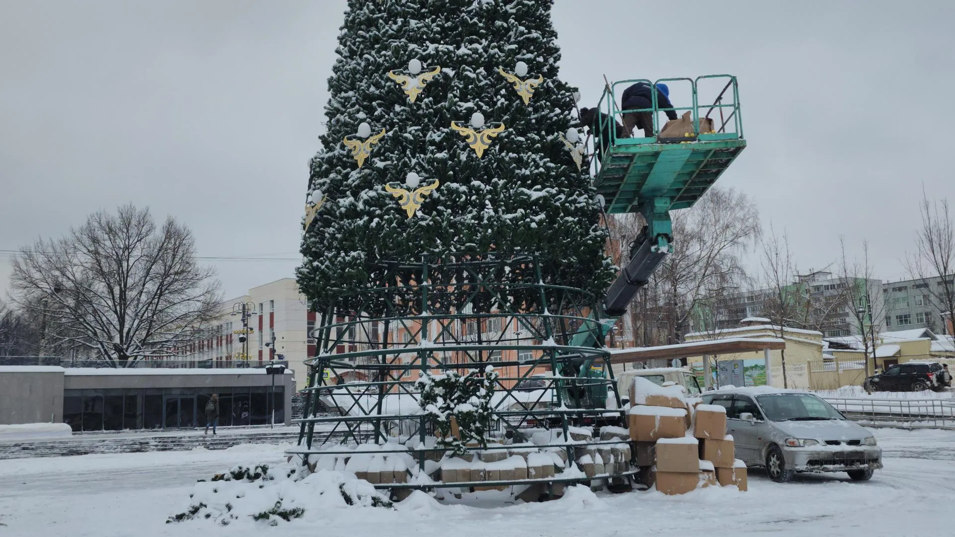 Фото: Ксения Пашуто