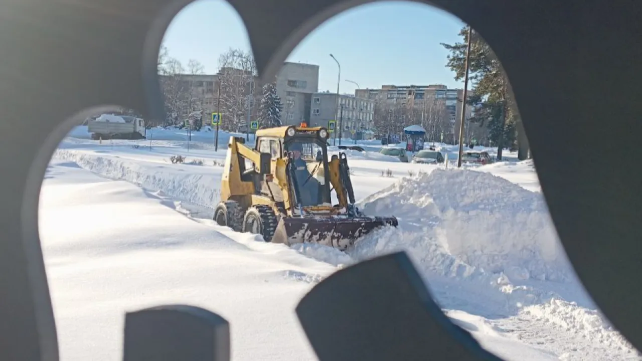 Фото: пресс-служба администрации г. о. Черноголовка