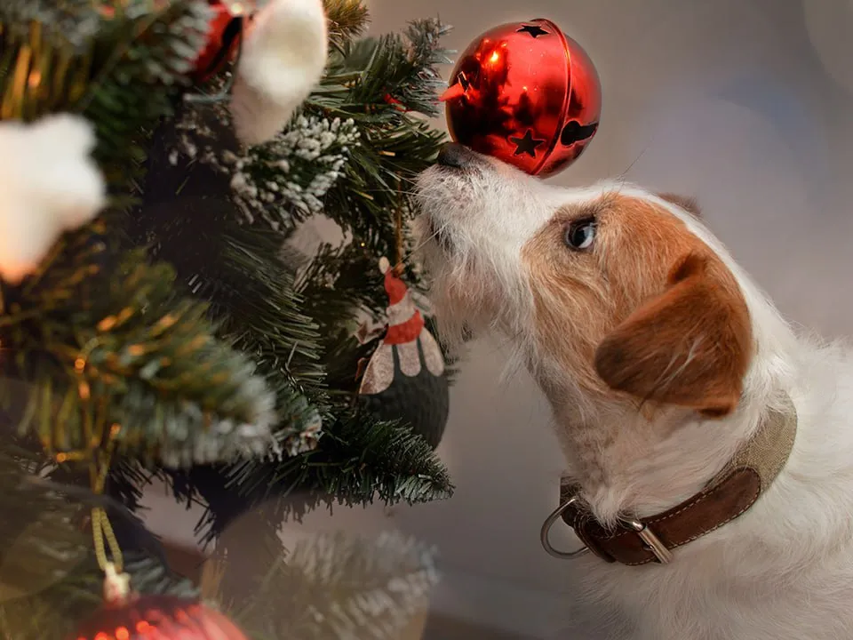 Фото: istockphoto.com/smrm1977