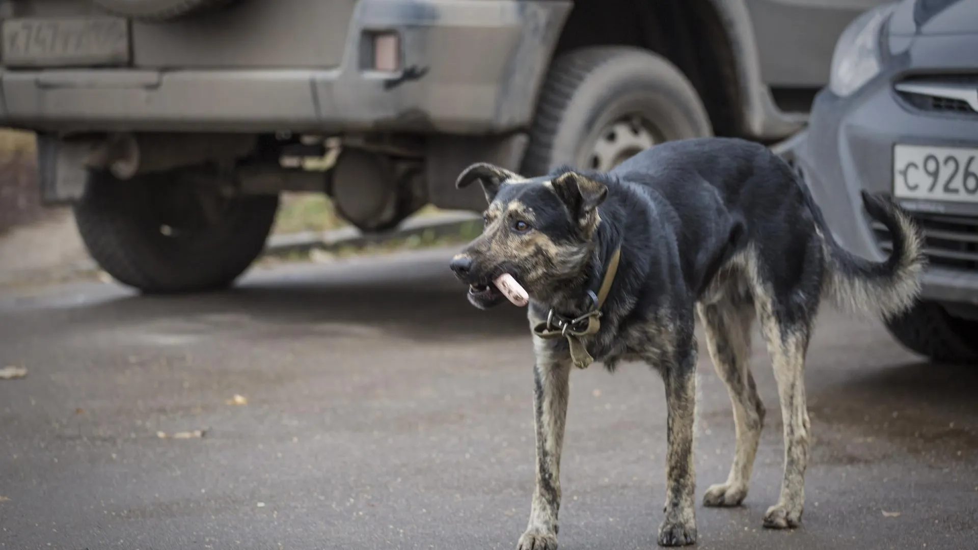 Павел Попов
