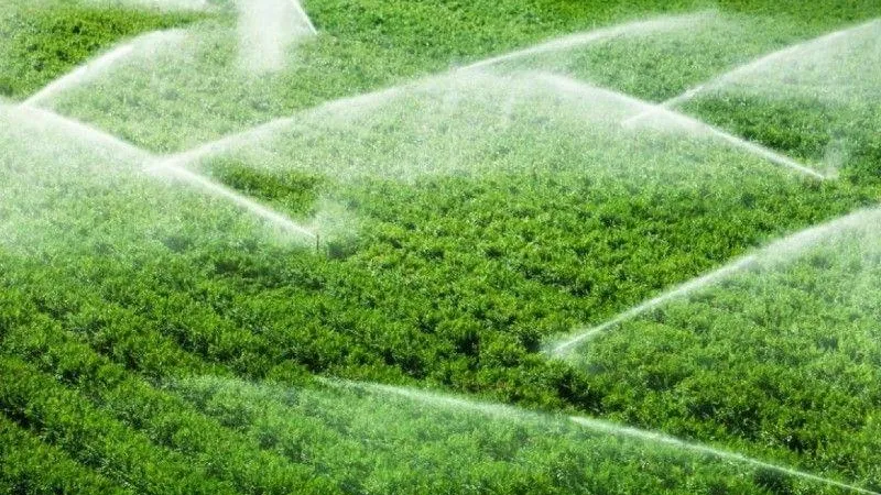 Министерство сельского хозяйства и продовольствия МО