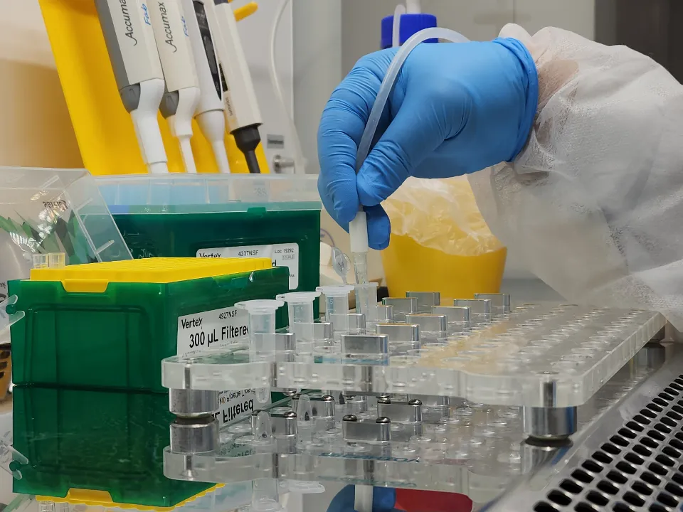 Фото: МедиаБанк Подмосковья/Валерия Тингаева