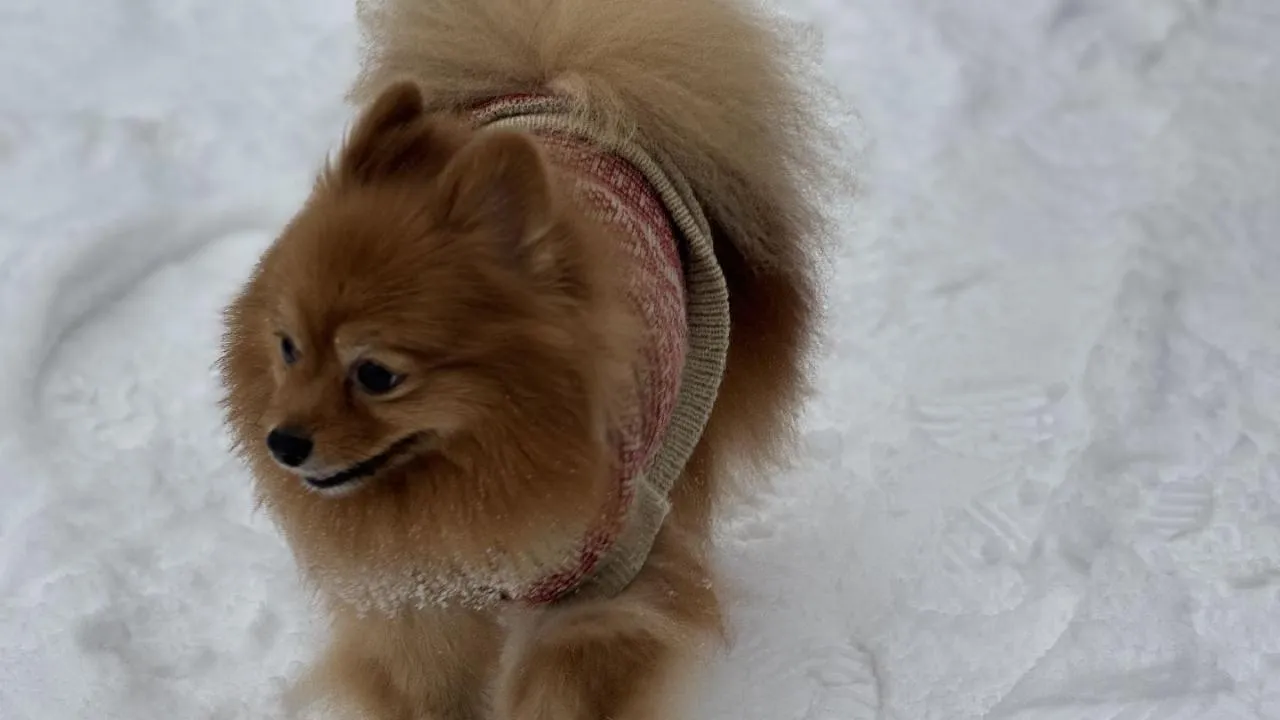 REGIONS/Полина Абраменко