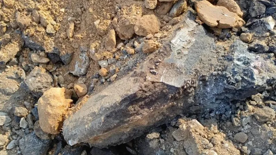 Фото: Минэкологии МО