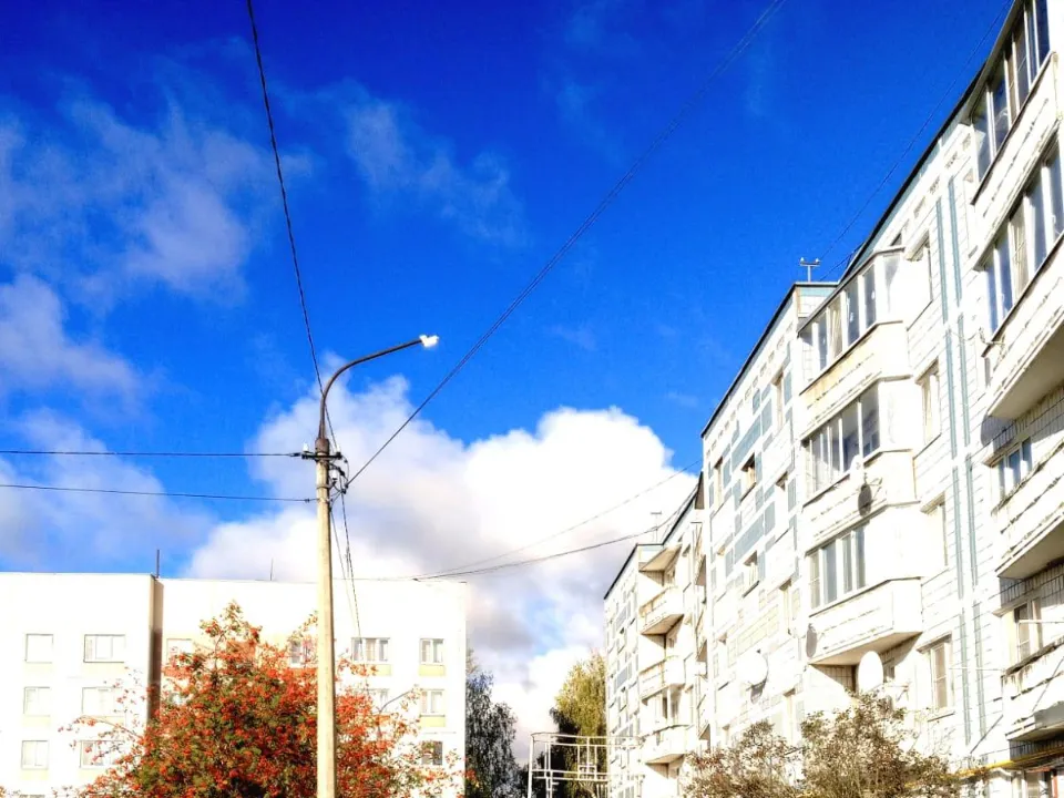 Фонарь на улице Центральной, 48. Фото: администрация м.о. Лотошино